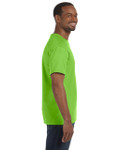 LIME-SIDE LIME-SIDE