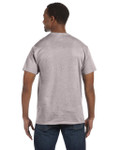 ASH GREY-BACK ASH GREY-BACK