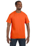 ORANGE-FRONT ORANGE-FRONT