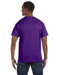 PURPLE-BACK PURPLE-BACK
