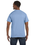 LIGHT BLUE-BACK LIGHT BLUE-BACK