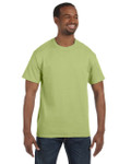 KIWI-FRONT KIWI-FRONT