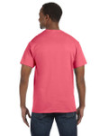 CORAL SILK-BACK CORAL SILK-BACK