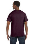 RUSSET-BACK RUSSET-BACK