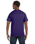 LILAC-BACK LILAC-BACK