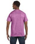 HEATHER RADIANT ORCHID-BACK HEATHER RADIANT ORCHID-BACK