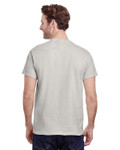 ICE GREY-Back ICE GREY-Back