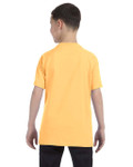 YELLOW HAZE-BACK YELLOW HAZE-BACK