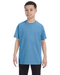 CAROLINA BLUE-FRONT CAROLINA BLUE-FRONT