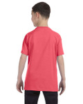 CORAL SILK-BACK CORAL SILK-BACK