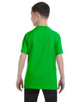ELECTRIC GREEN-BACK ELECTRIC GREEN-BACK