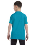 TROPICAL BLUE-BACK TROPICAL BLUE-BACK