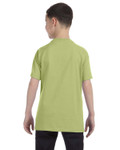 KIWI-Back KIWI-Back