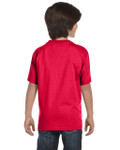 SPORT SCARLET RED-BACK