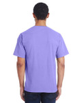 LAVENDER-BACK LAVENDER-BACK