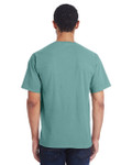 CYPRESS GREEN-BACK CYPRESS GREEN-BACK