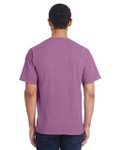 PURPLE PALM RAISIN-BACK PURPLE PALM RAISIN-BACK