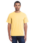 SUMMER SQUASH-FRONT SUMMER SQUASH-FRONT