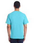 FRESHWATER-Back FRESHWATER-Back