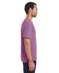 PURPLE PLM RAISN-Side PURPLE PLM RAISN-Side