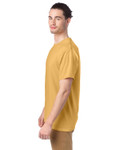 ARTISAN GOLD-Side ARTISAN GOLD-Side