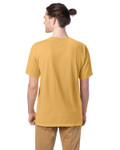 ARTISAN GOLD-Back ARTISAN GOLD-Back