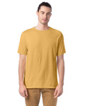 ARTISAN GOLD-Front ARTISAN GOLD-Front