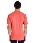 CORAL SILK-BACK CORAL SILK-BACK