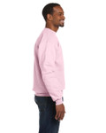 PALE PINK-SIDE PALE PINK-SIDE