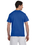 ROYAL BLUE-BACK ROYAL BLUE-BACK