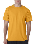 GOLD-FRONT GOLD-FRONT