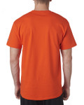 ORANGE-BACK ORANGE-BACK