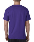 PURPLE-BACK PURPLE-BACK