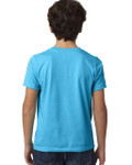 TURQUOISE-BACK TURQUOISE-BACK