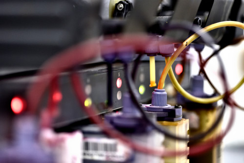 How Sublimation Printing Can Take Your T-Shirt Designs to the Next Level How Sublimation Printing Can Take Your T-Shirt Designs to the Next Level