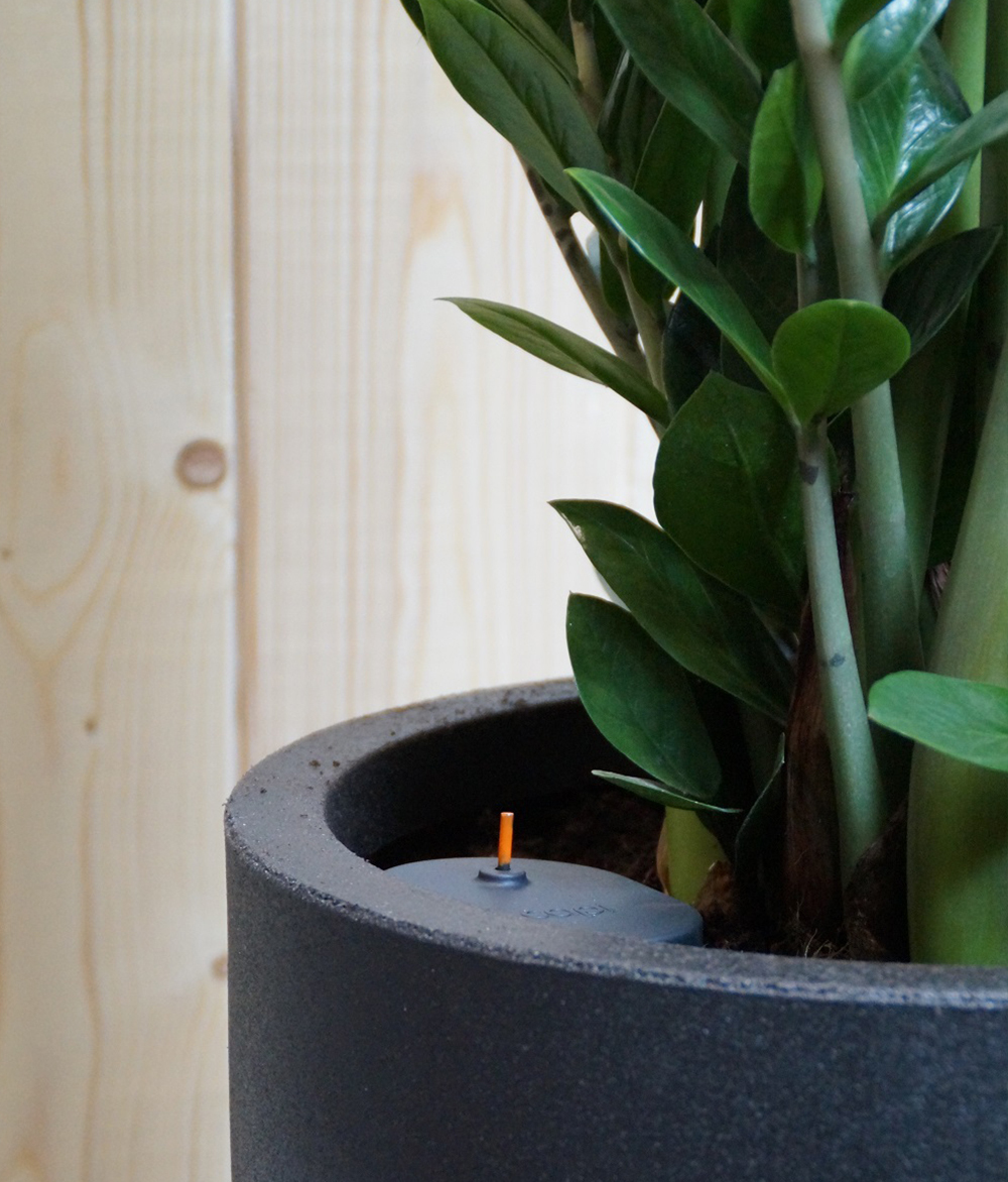 Capi nature indoor – pot ovaal hoog zwart