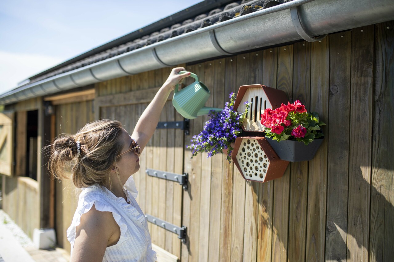 Accessories Hive Bee hotel