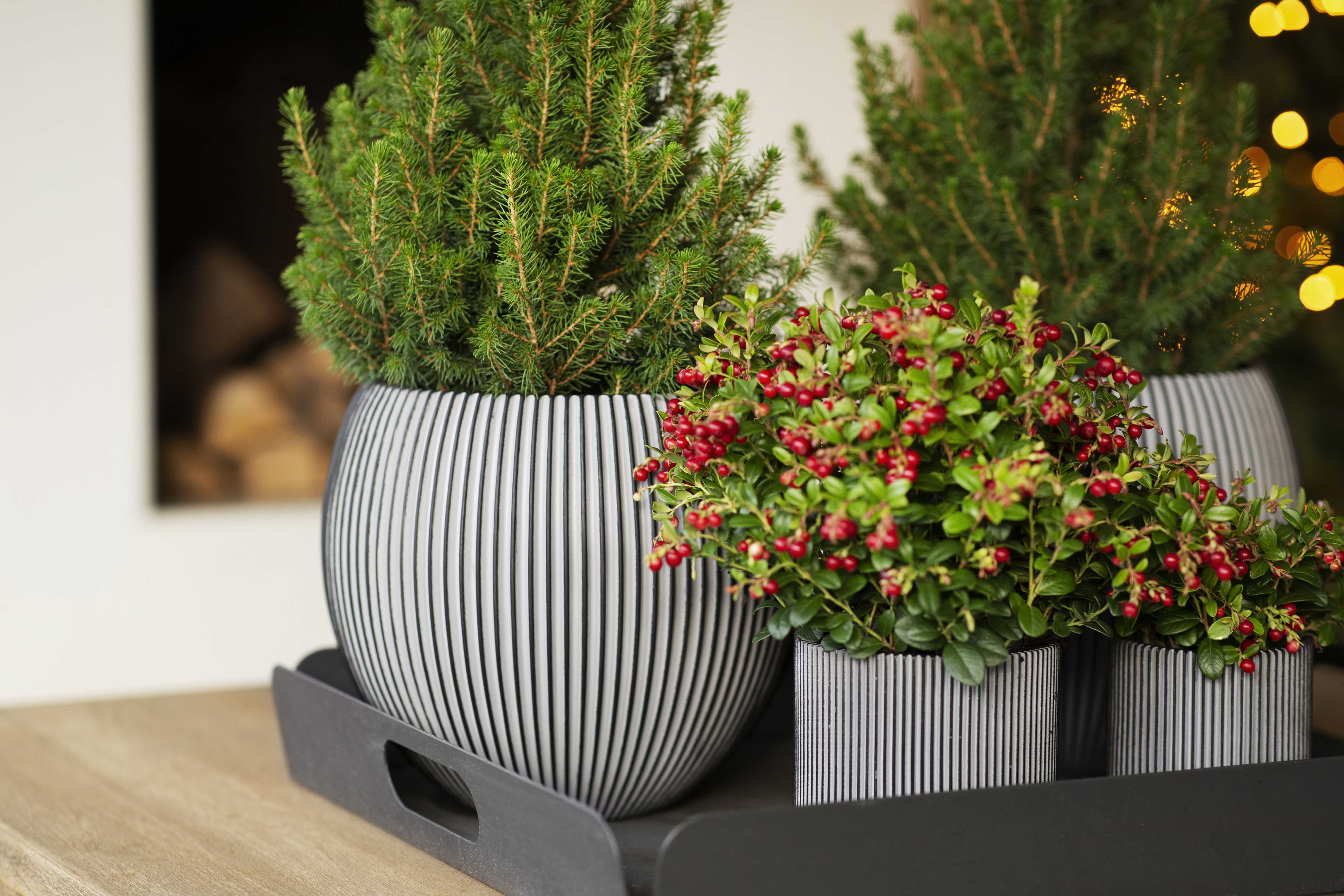 Nature Groove Anthracite & Ivory Cylinder Vase Black