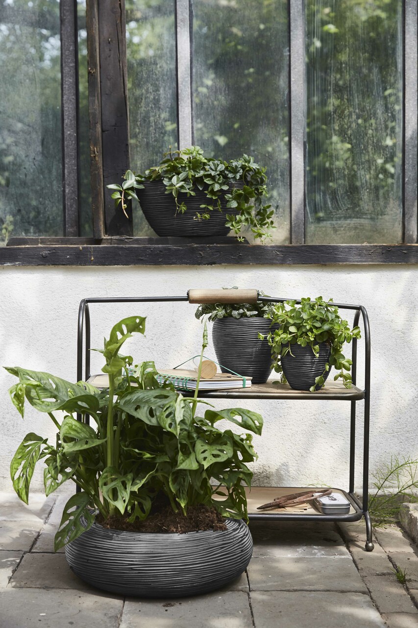 Capi_Nature_Rib_indoor_anthrac