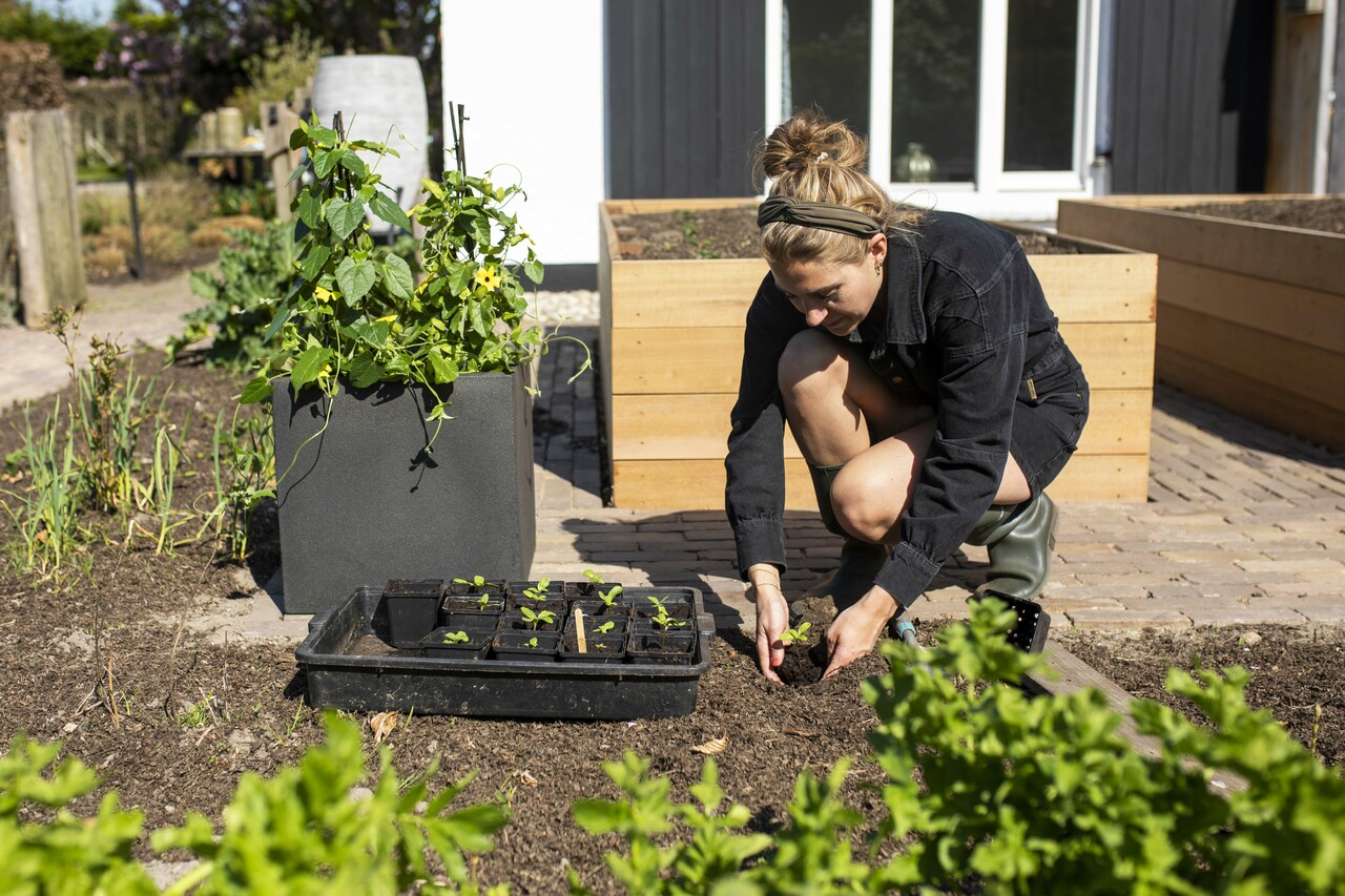 Neighborhood SRL BAPE NBHD PLANT POT 鉢 Neighborhood SRL BAPE NBHD PLANT POT 鉢