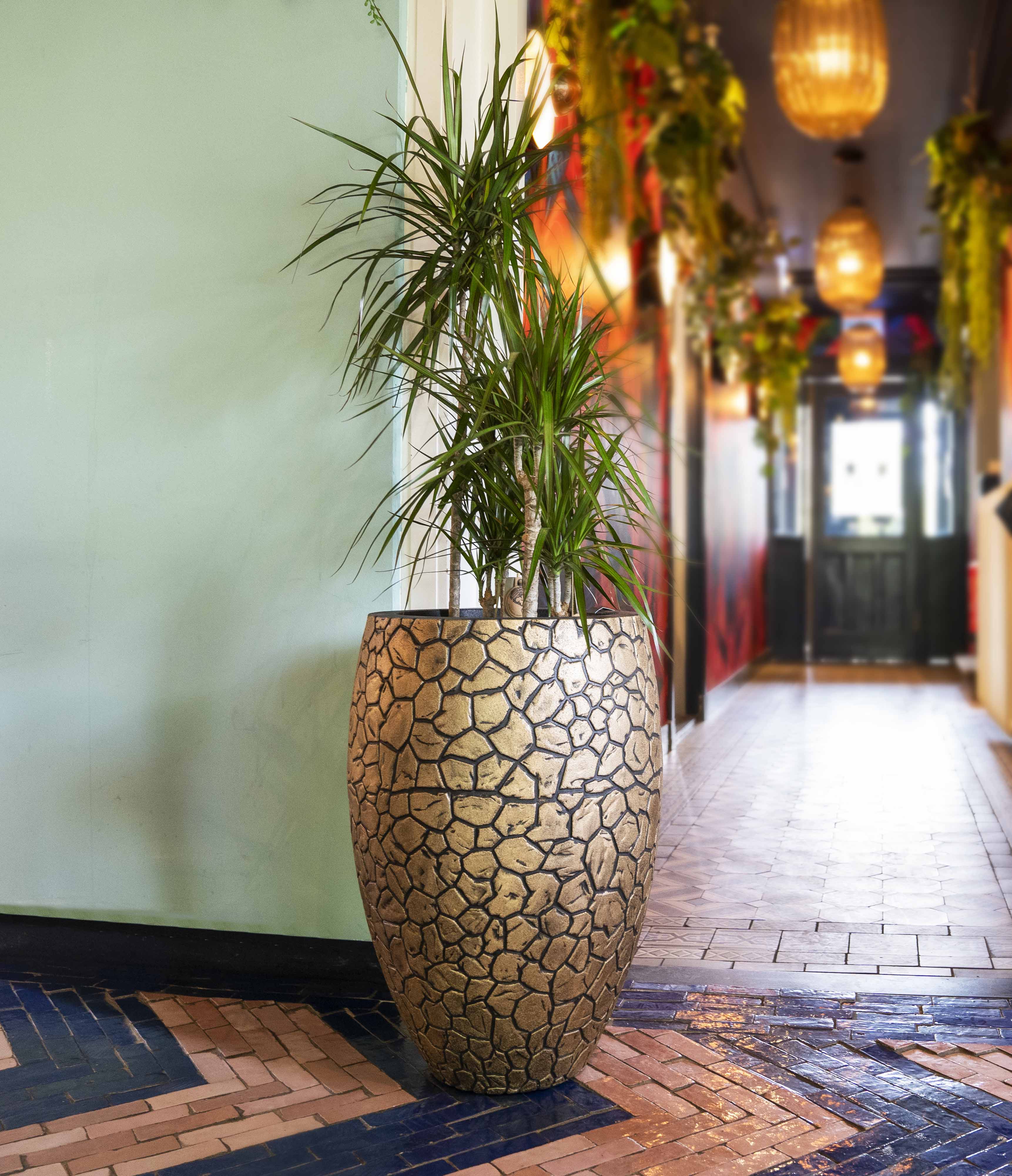 capi 花瓶 Nature Groove NL Elegant Vase Low Ivory