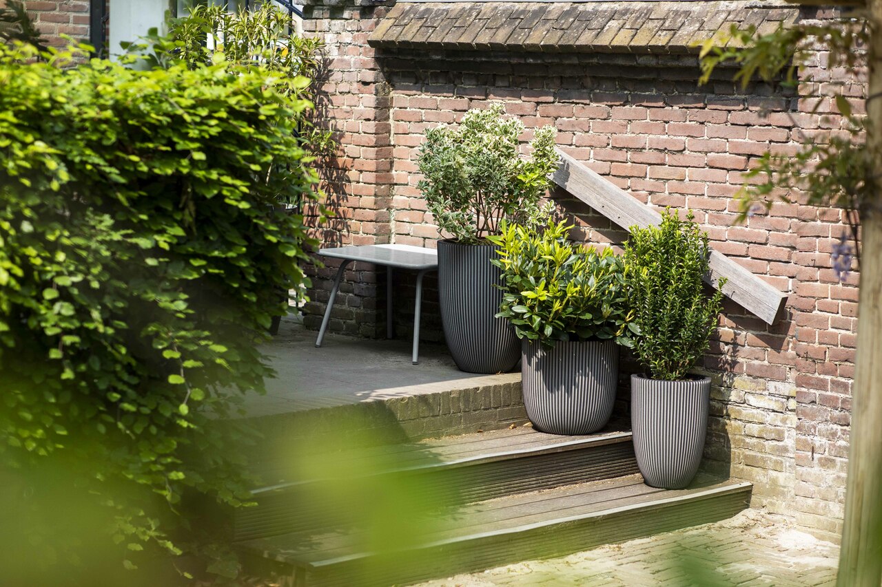 Nature Groove NL Elegant Vase Low Anthracite