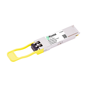 PAN-QSFP28-100GBASE-DR-PO