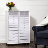 Storage Cabinet and Drawer Bundle