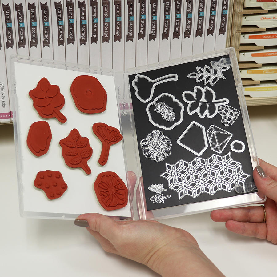 Organizing my Stampin' Up! Die Cuts - Patty Stamps