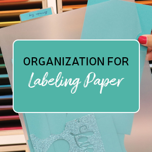 org-for-labeling-paperb.png