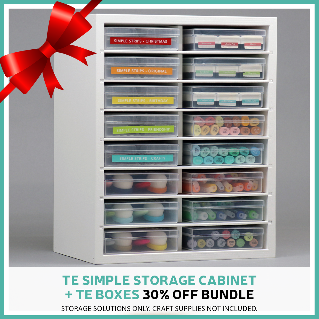 te-simple-storage-cabinet-bundle-2024.png