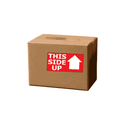 2" x 4" "This Side Up" Label, Paper, 500 Labels Per Roll