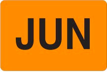 2" x 3" "June" Label, Paper, 500 Labels Per Roll