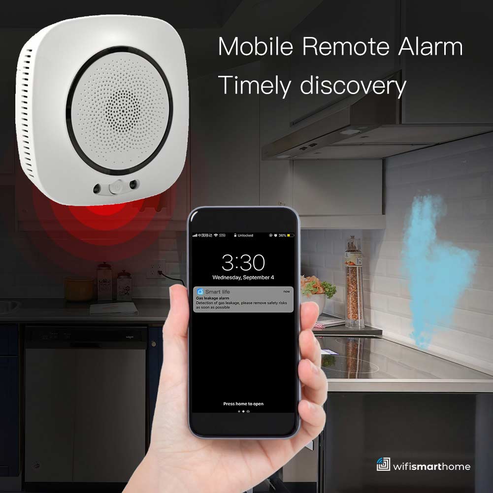 smart gas alarm